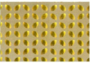 Glitzerkarton 50x70cm (250g/m) ""Goldene Blätter"" 5 Bögen""